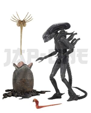 neca51646