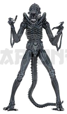 neca51647-01