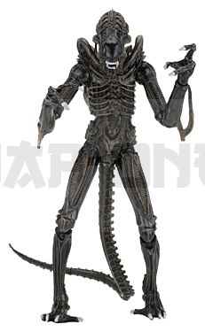 neca51683-01