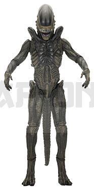 neca51756-01