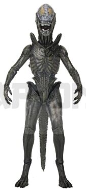 neca51766-01