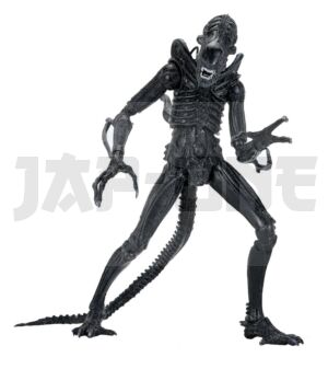 neca51796-01