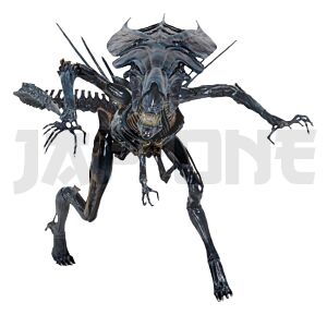 neca51800-01