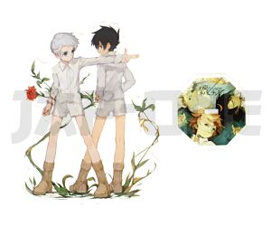 Cristal Acrylique - The Promised Neverland - Norman & Ray