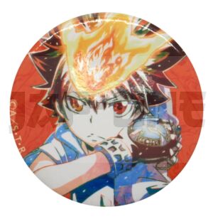 Insignia Reborn! Tsunayoshi Sawada