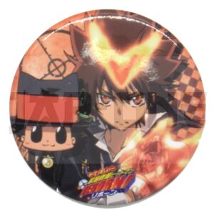 Insignia Reborn! Tsunayoshi Sawada ver.2