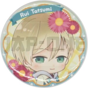 Anstecker - Starmyu - Rui Tatsumi