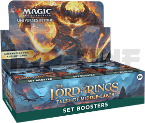 wisdaseboen_display_20230321